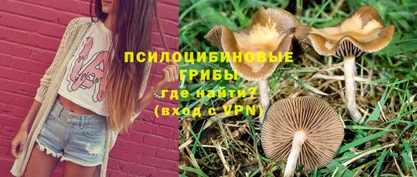 соль курить ск Гусь-Хрустальный