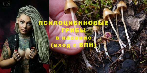 соль курить ск Гусь-Хрустальный